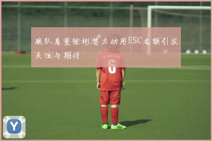 狼队看重徐彬潜力动用ESC名额引发关注与期待