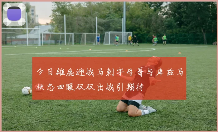 今日雄鹿迎战马刺字母哥与库兹马状态回暖双双出战引期待