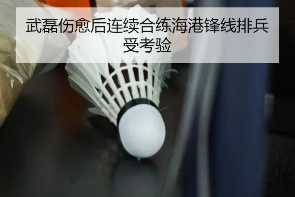 武磊伤愈后连续合练海港锋线排兵受考验 | hthsports